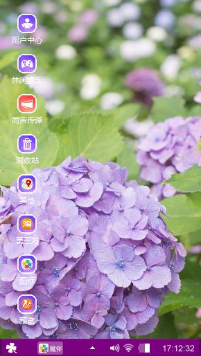 紫色绣球花