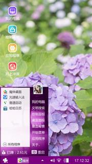 紫色绣球花