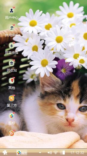 猫猫