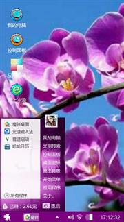 蝴蝶兰