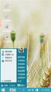 麦穗和虞美人