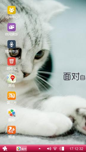 可爱猫咪