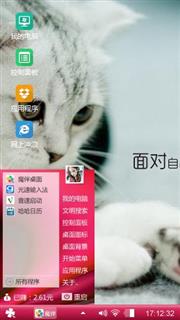 可爱猫咪