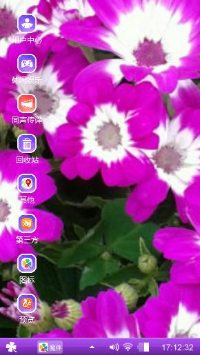 瓜叶菊