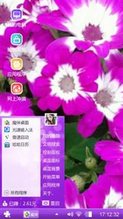 瓜叶菊